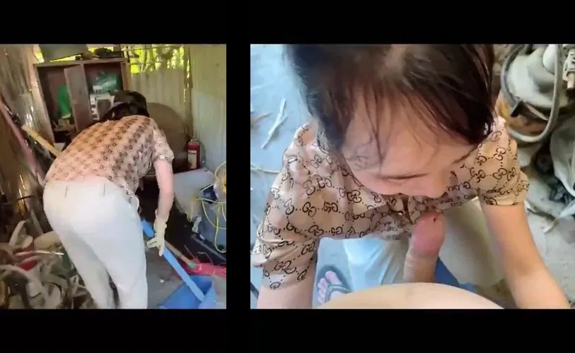 Bắt bú chim tại nhà kho